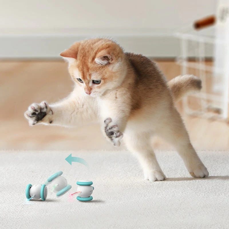 Cat toys for outlet older cats