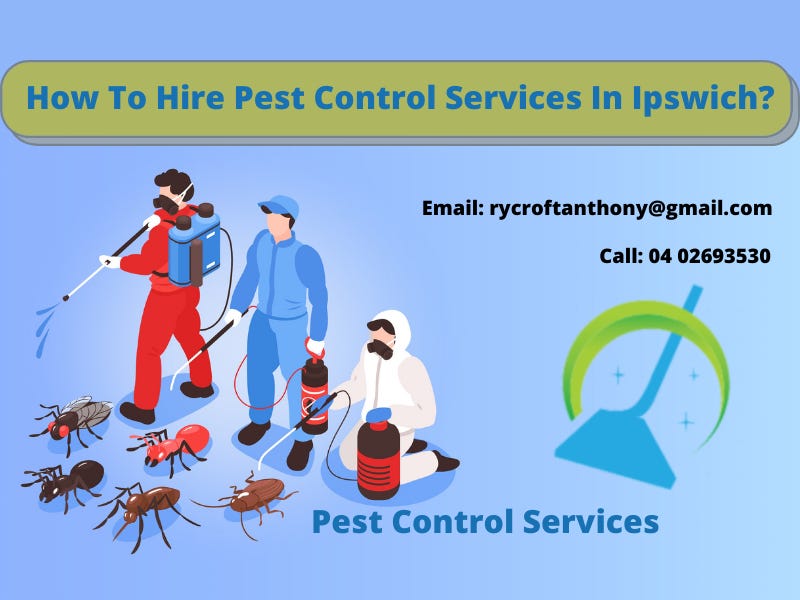 How To Hire Pest Control Services In Ipswich? by Carpetand Pests Medium