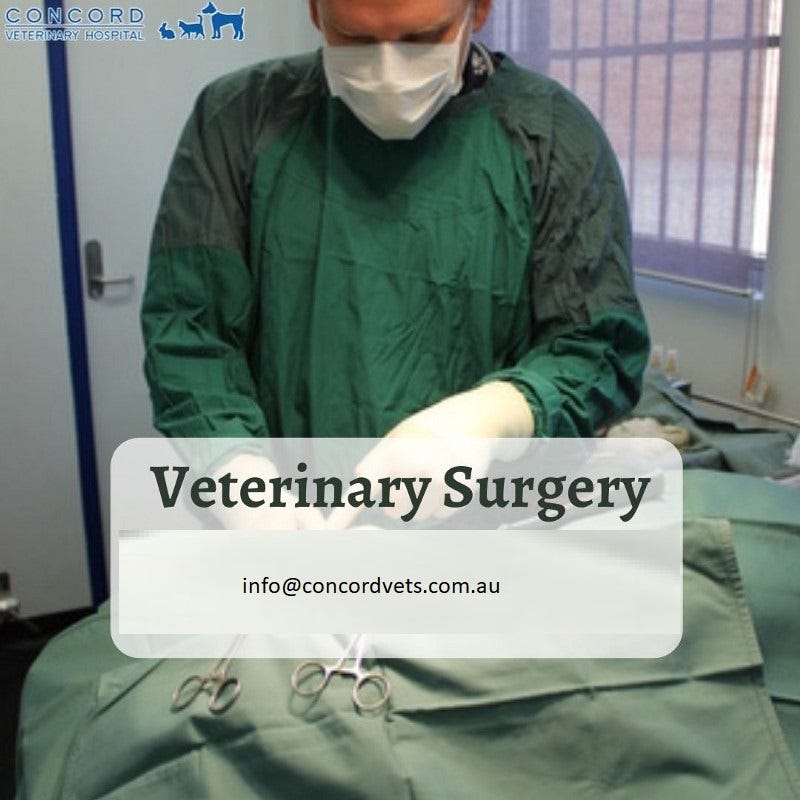 Concord Veterinary Hospital — Veterinary Surgery Vetsconcordseo Medium