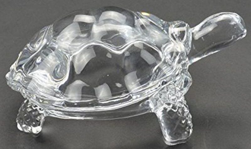 Which Direction A Crystal Tortoise Face To Attract Luck according to ...