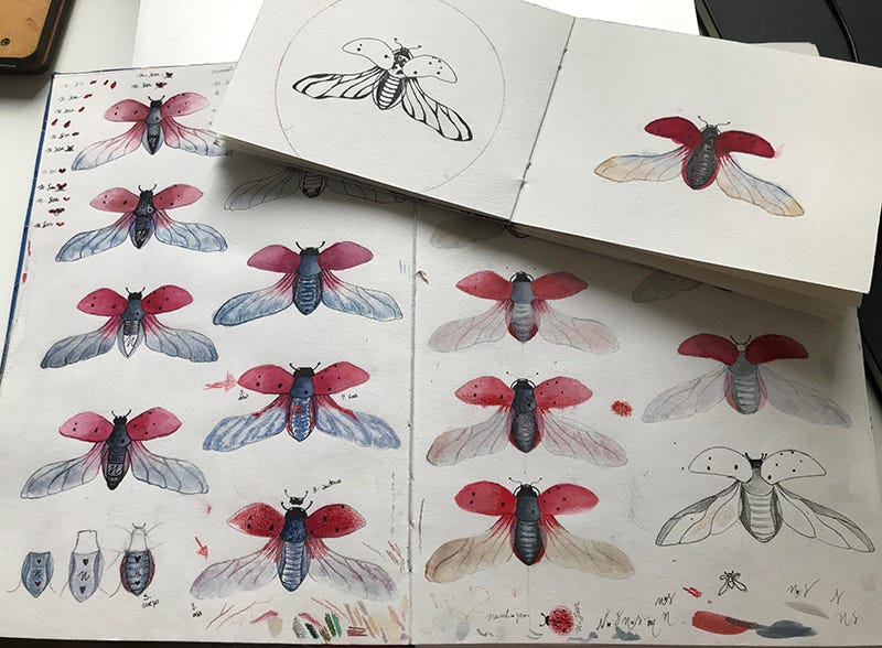 Ladybug: A verdadeira história 🐞 Draw My Life Português 
