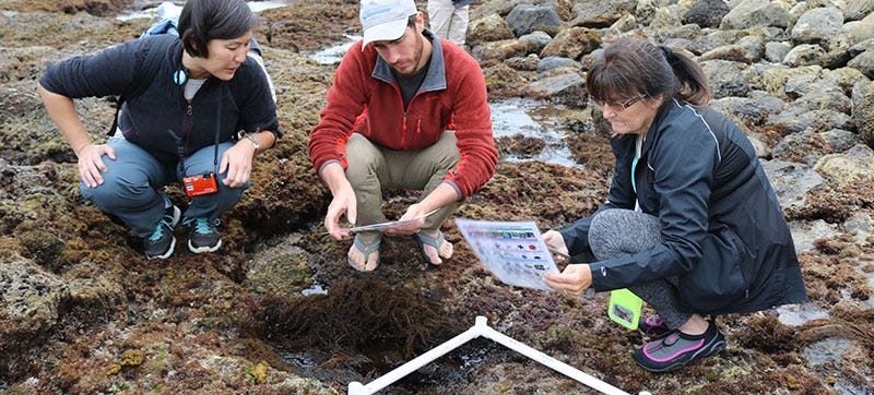 Citizen Science And The Ocean. Citizen Science Is A Term Used To… | By ...