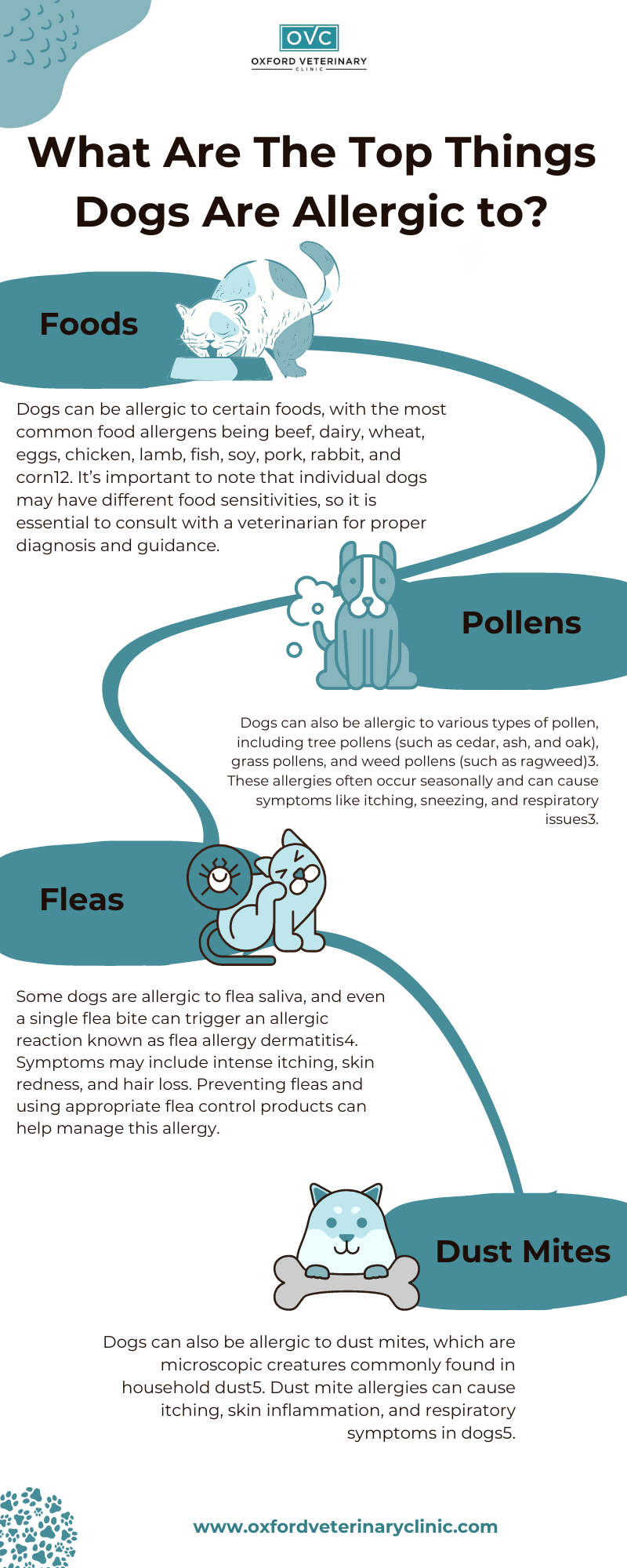 What Are The Top Things Dogs Are Allergic to? Oxford Veterinary