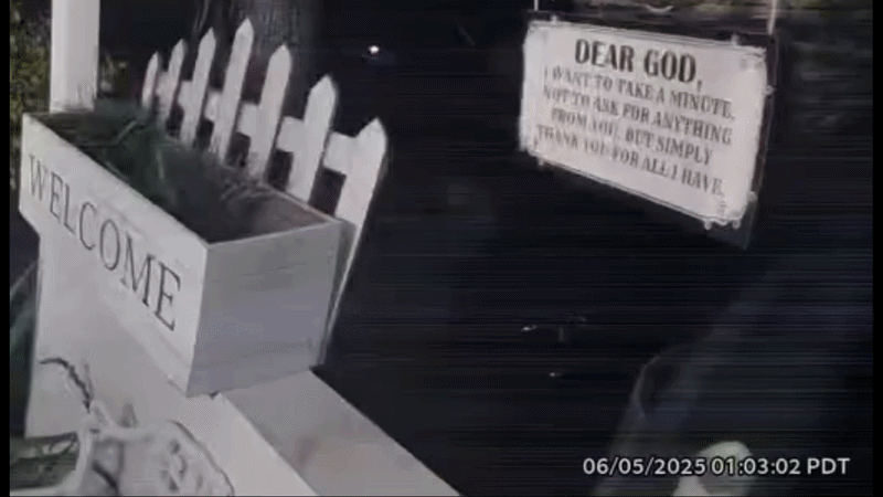 Alien Filmed By California Doorbell Camera?