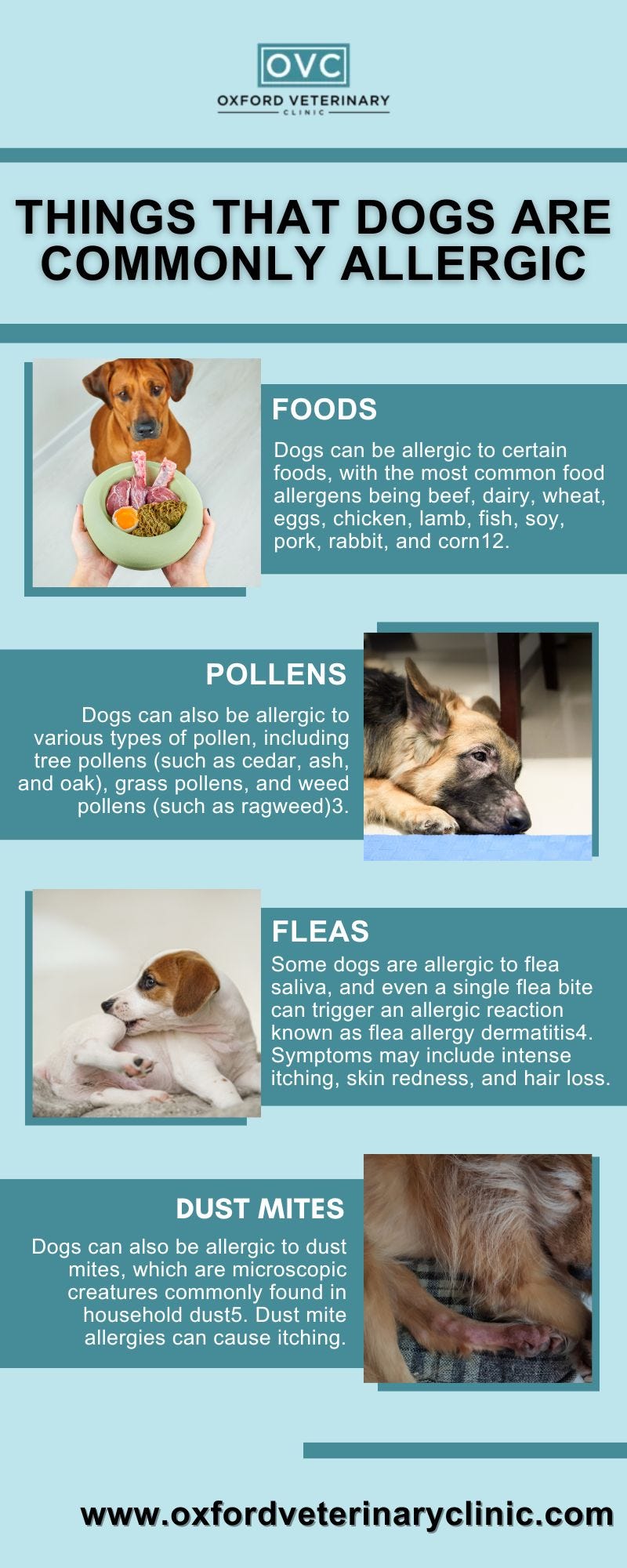 Things That Dogs ARE Commonly Allergic - Oxford Veterinary Clinic - Medium