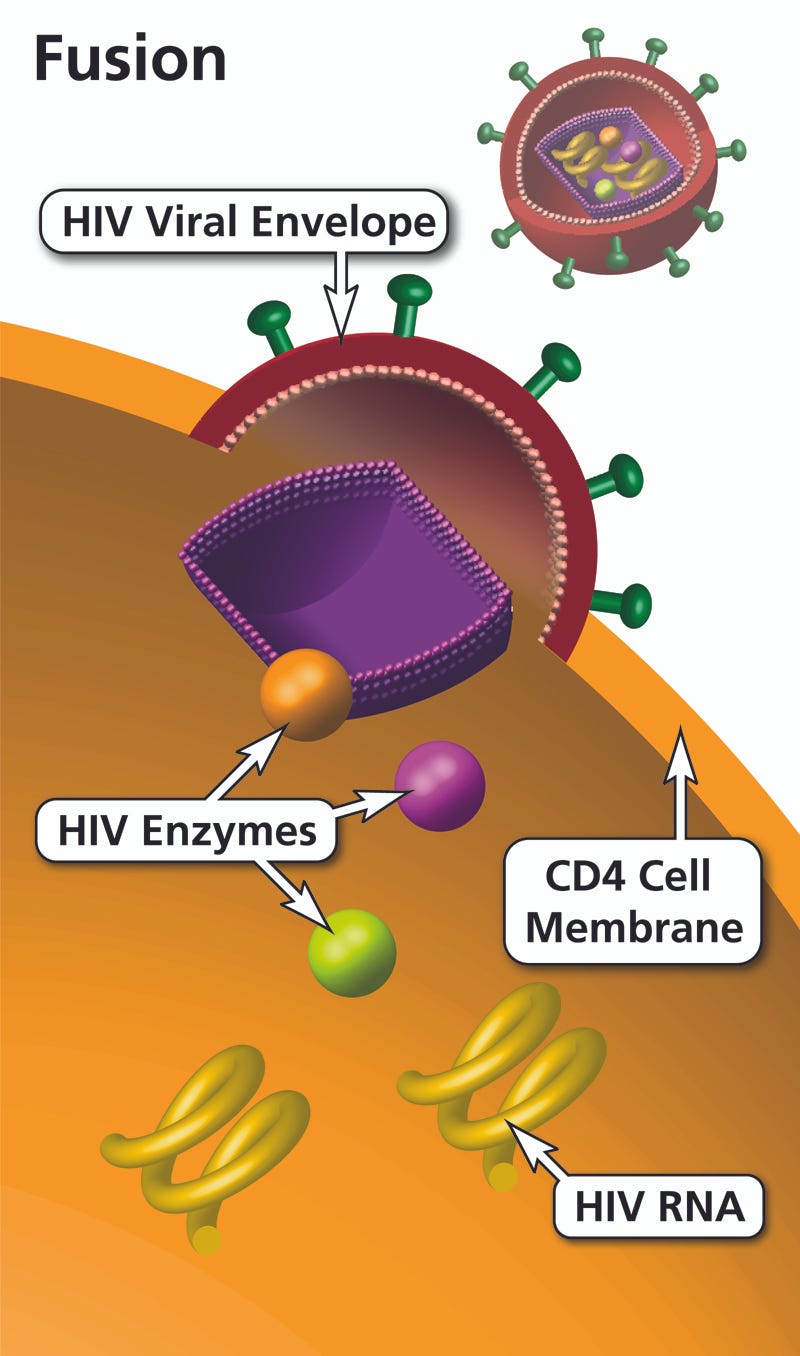 Fusion Inhibitors Market Analysis, Challenges, Growth and Forecast By ...