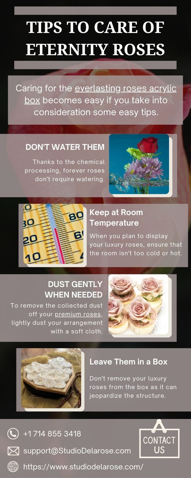 Tips to Care of Eternity Roses - Studio De La Rose - Medium