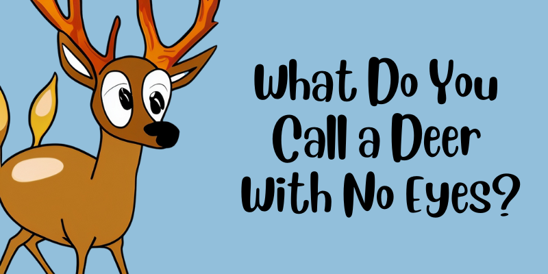 What Do You Call a Deer With No Eyes? (Joke Explained) | by Christopher  Kokoski | Answer Beach | Medium