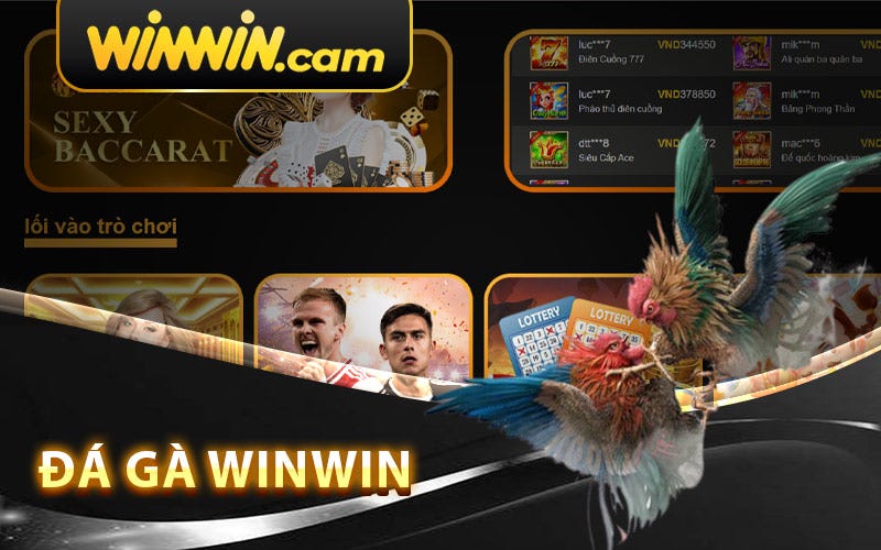 Đá Gà Winwin — Nhiều Trận Chiến Kê Đỉnh Cao Tại Winwin