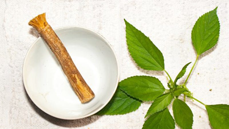 Benefits of Miswak for Dental and Oral Health by Naqibia Medium