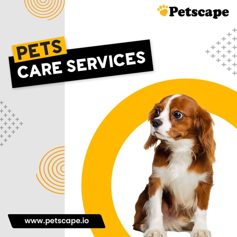 🐶 PET CARE SERVICES 🐶 Petscape Medium