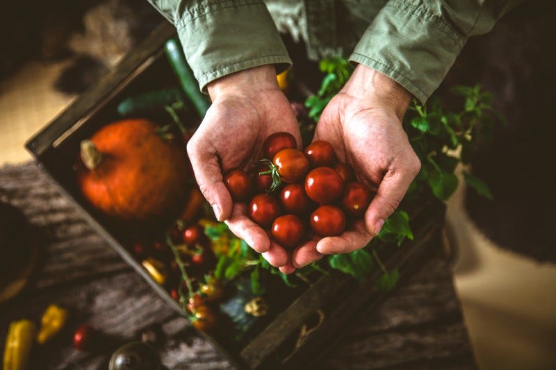 Os Fatores Influenciadores das Cadeias de Abastecimento de Alimentos: Como a Ambrosus pode…