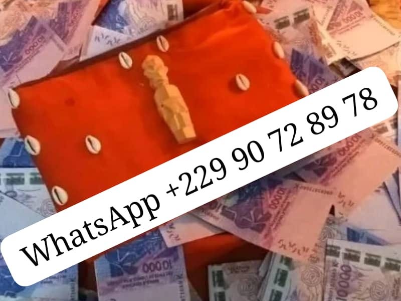 Comment faire le vrai portefeuille magique sans consequences +229 90 72