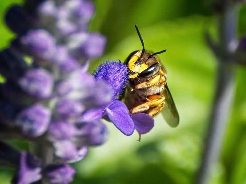 Photo by Photo by Kunze on Foter