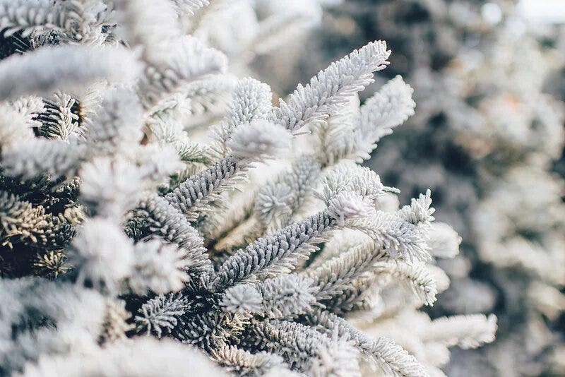 When Does Winter Start?. Which day is the firs day of Winter? by The