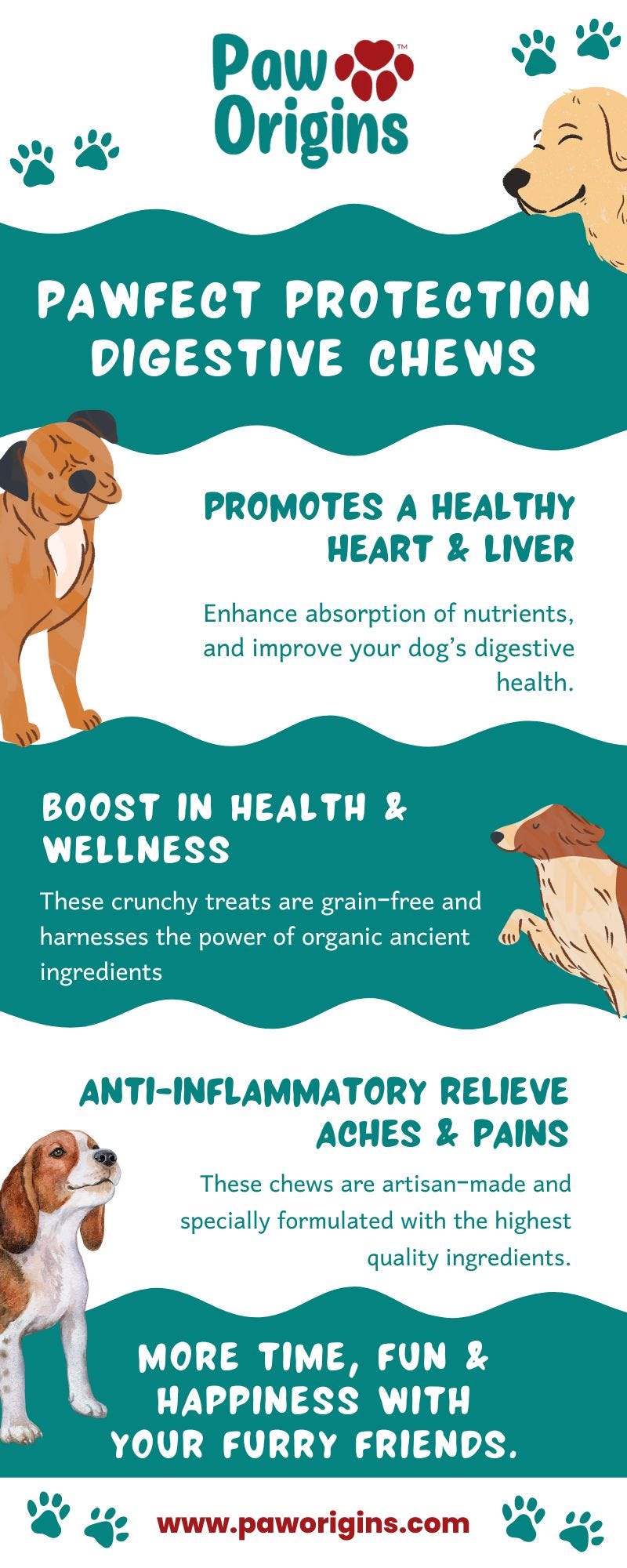 How Can I Improve My Dogs Digestion