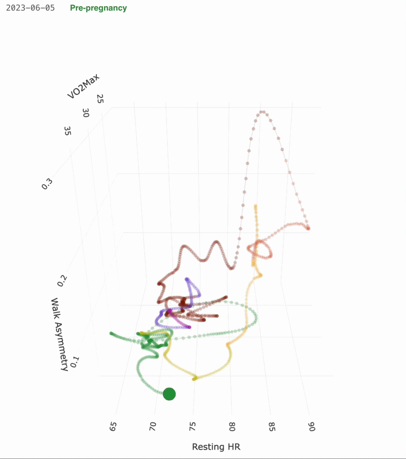 Pregnancy according to My Apple Watch