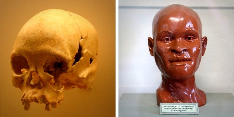 LEFT: 12,000-year-old skull of woman known as “Luzia” RIGHT: Realistic sculpture of Luzia. The museum’s most popular exhibit, the 12,000-year-old remains of a woman simply known as “Luzia,” is one of the millions of irreplaceable artifacts lost in the fire. Using her skull, [Walter Neves] created a realistic sculpture of the woman. It too was destroyed. Will Adams. RelicRecord.com