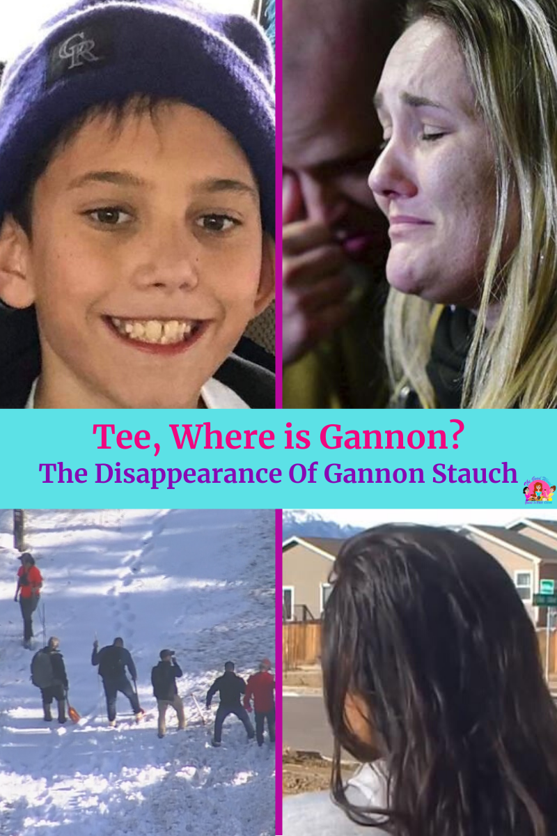 Tee, where is Gannon?. The Disappearance Of Gannon Stauch by Christina Aliperti The Good