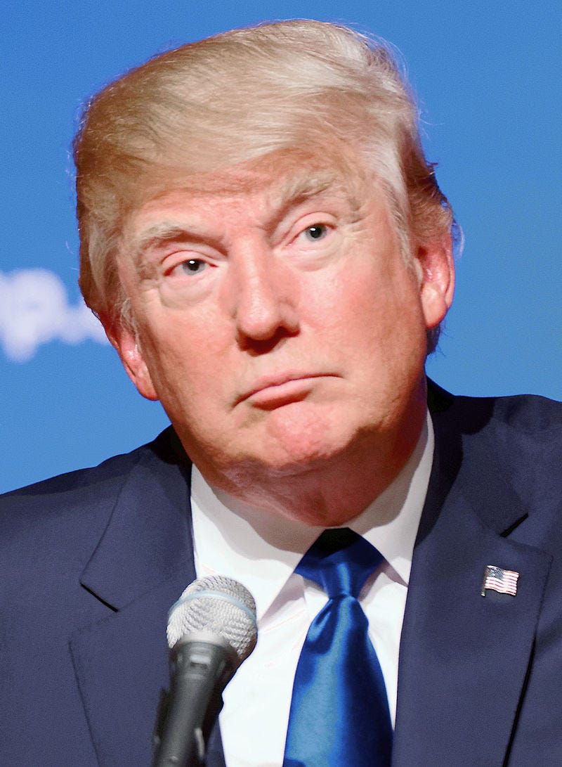 6 Potential Running Mates for Donald Trump by Kenton Tilford Medium
