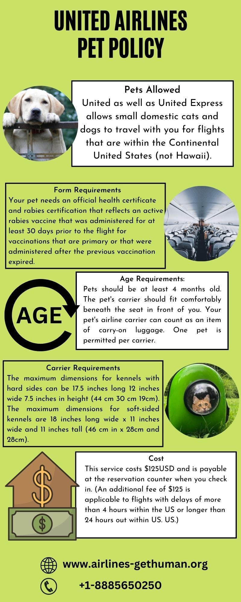 United Airlines pet policy Airlines GetHuman Medium