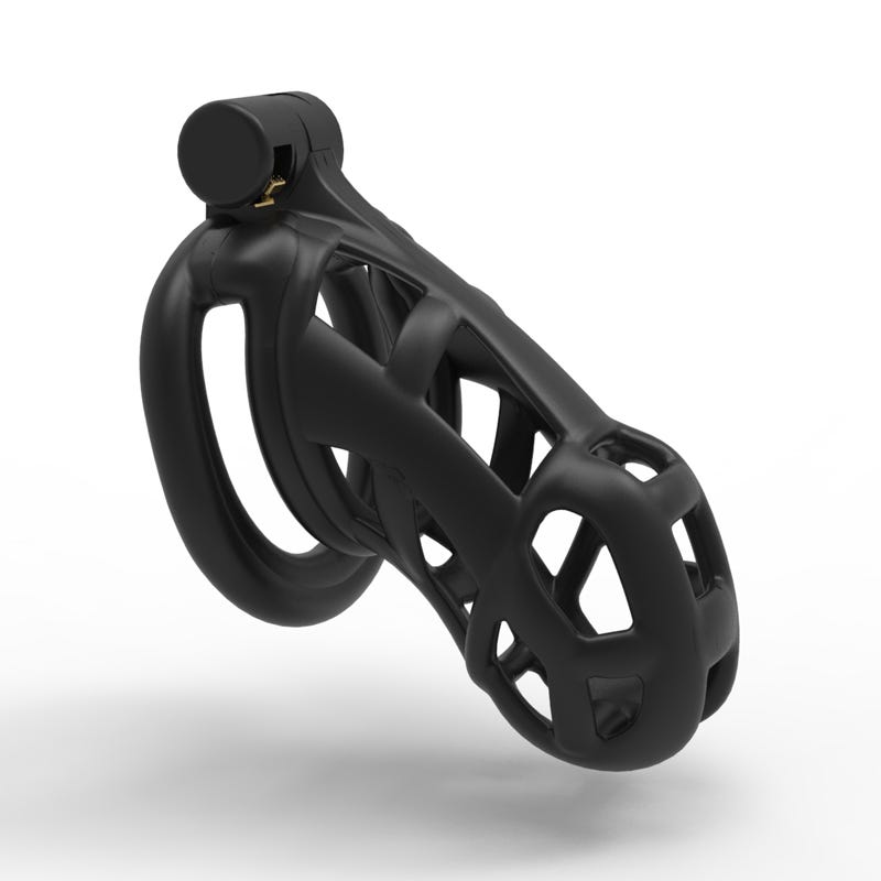 “The Chastity Cage Speed and Passion” by Kortnei Lyons Medium