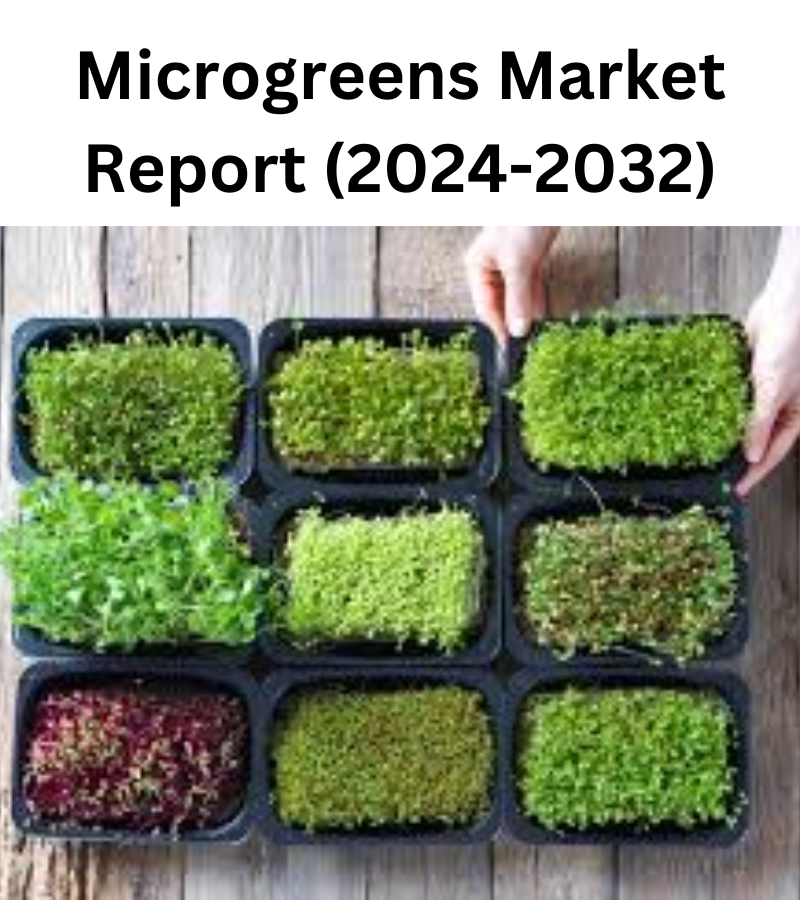 Picture of Microgreens Market Overview: Significant Growth Expected from 2024 to ...