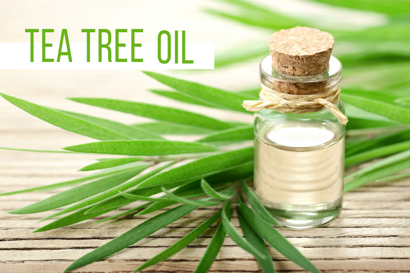 Tea tree oil shampoo and conditioner deals