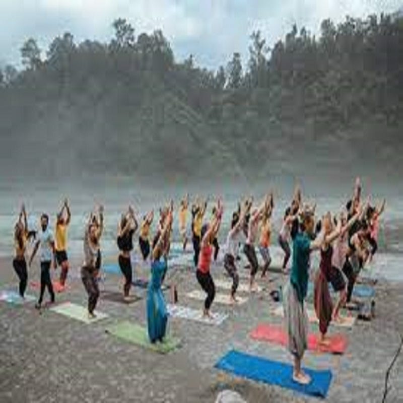 Best Yoga School In Rishikesh. Rishikesh, nestled in the tranquil… | by  Sammasatiretreatrishikesh | Medium