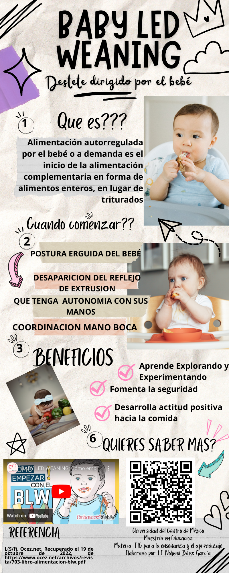 Libros y blogs sobre Baby Led Weaning (BLW) y alimentación complementaria -  Disfruti
