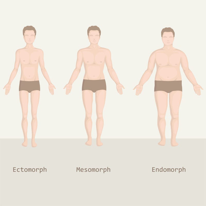 Bawtry Gym - There are 3 Body Types Ectomorph - Naturally Skinny and Small  Frame Mesomorph - Muscular build with broader build Endomorph - Naturally  Heavier Build + Higher Body Fat %