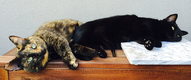 Sisters lazing in the spring