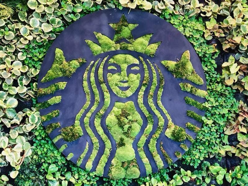 “STARBUCKS” drive for sustainability & curbing pollution by Raven