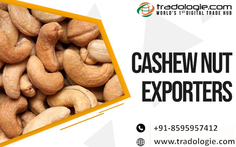 Cashew Nut Exporters Tradologie Medium