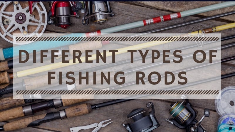 Different Types of Fishing Rods. There are many variations of the