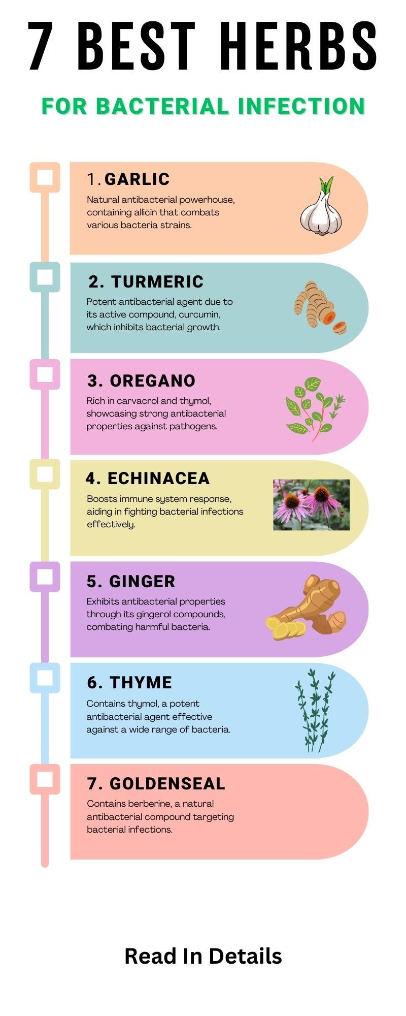 7 Best Herbs For Bacterial Infection by Healthy Nation Medium