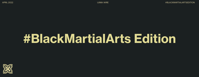 Chicago African Martial Arts Institute