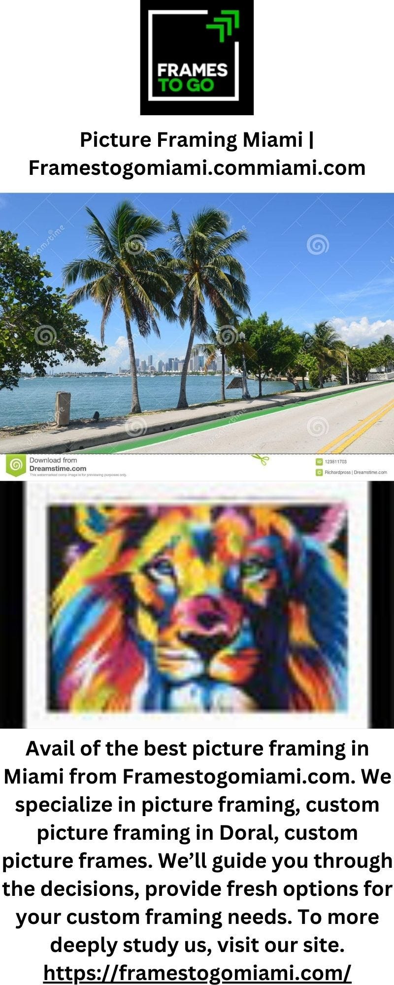 Picture Framing Miami Zanegreen Medium