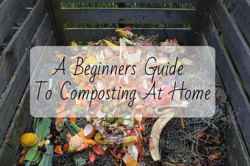 Beginner's Guide to Composting