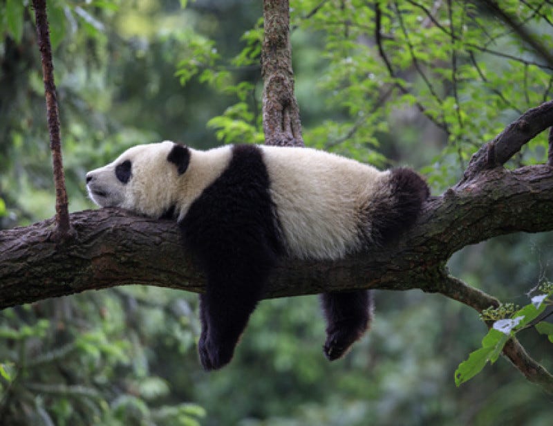 Python Pandas Operation Collection | by Honghao Yu | Medium