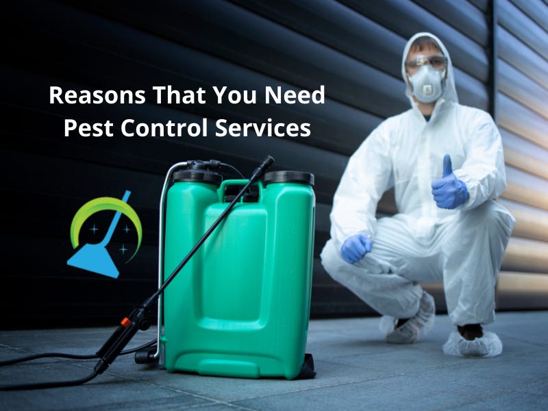 Benefits Of Hiring Professional Pest Control Services In Ipswich QLD