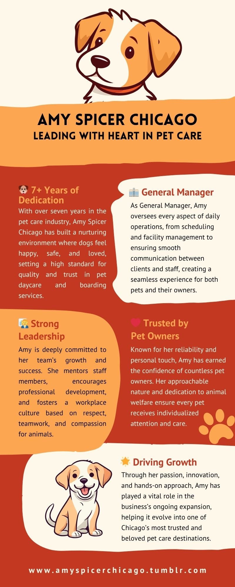 Leadership Lessons from Amy Spicer Chicago’s Pet Care Success