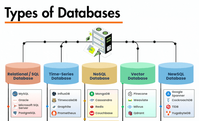 Databases Explained — Relational DB, NoSQL, Vector Databases, Time Series, Graph, and NewSQL