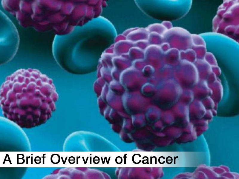 A Brief Overview of Cancer. It is a normal phenomenon that the… | by ...