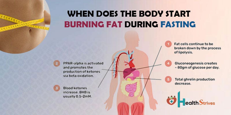 When Does The Body Start Burning Fat During Fasting By Health 