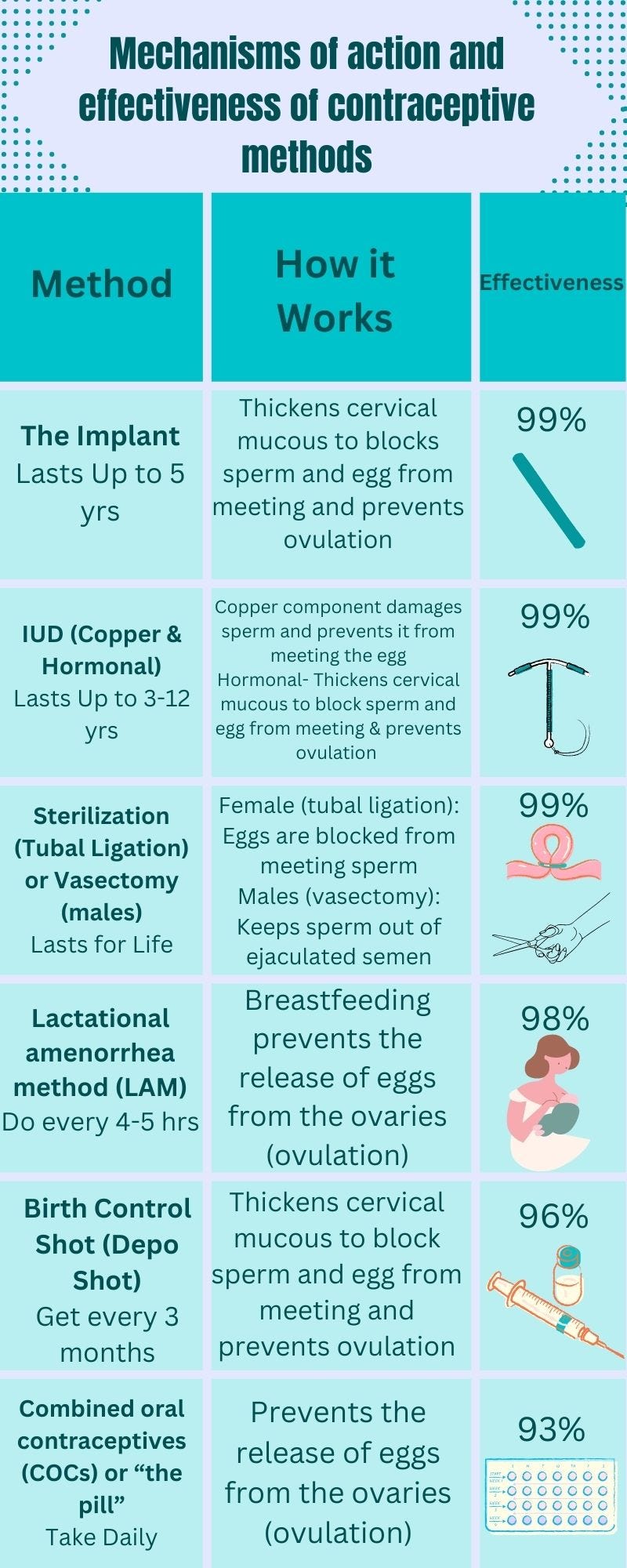 Birth Control Infographics & Public Writing Paper: By MR & AE