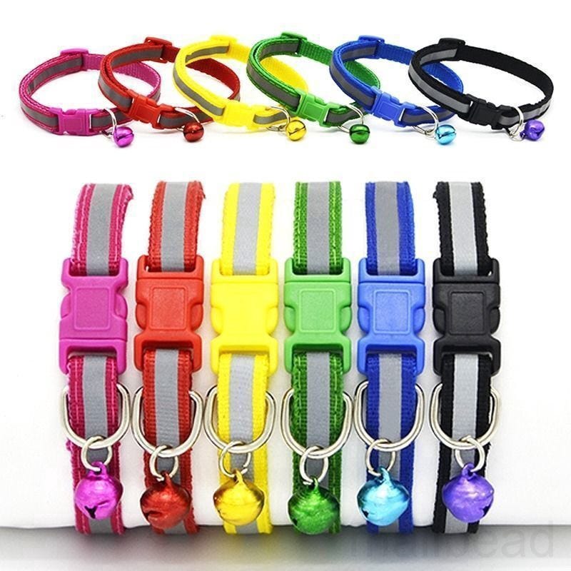 Buy Online Pet Products Genexitdevelopment Medium