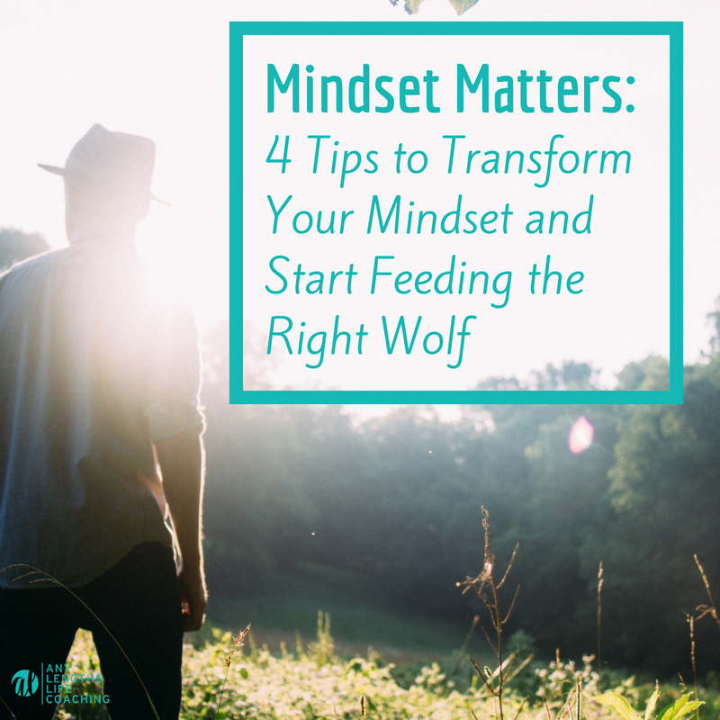 Mindset Matters 4 Tips to Transform Your Mindset and Start Feeding the