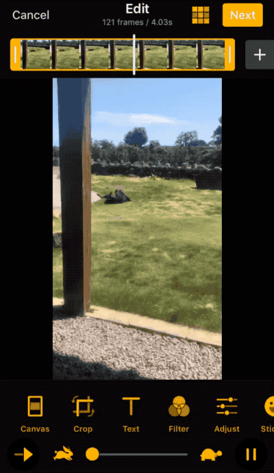 How to make GIF on iPhone. GIF is always entertaining. It is not…, by  ImgPlay