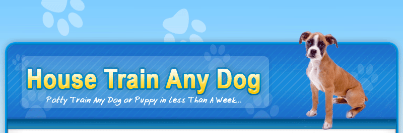 From Mess to Success: How “How To Housetrain & Potty Train Any Dog” Transformed My Dog’s Behavior
